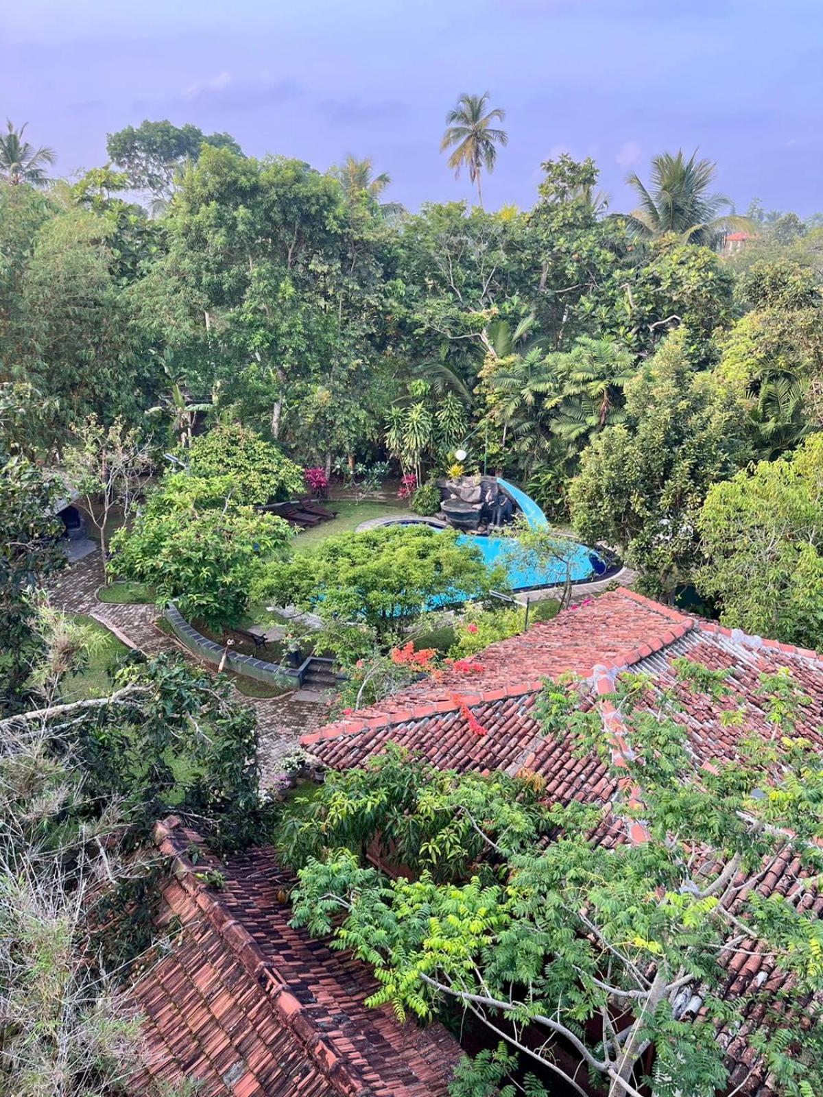 Villa 80 Bentota Exterior foto